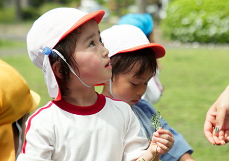 きっずあいりす